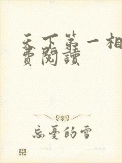 天下第一相书免费阅读