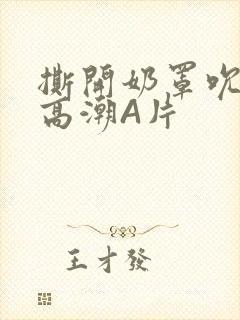 撕开奶罩吮奶头高潮A片