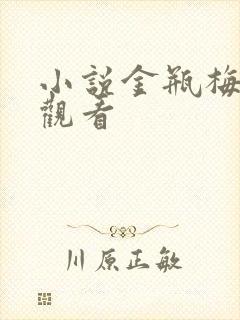 小说金瓶梅在线观看