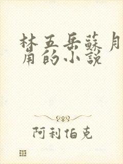 林五岳苏月灵主角的小说