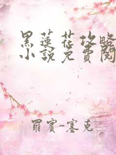 黑莲花攻略手册小说免费阅读