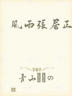 风雨张居正下载