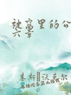 被窝里的公息第六章