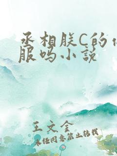 丞相朕C的你舒服吗小说