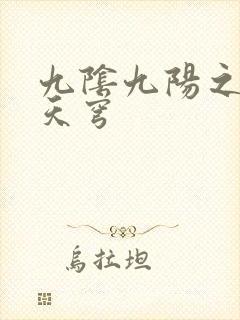 九阴九阳之武战天穹