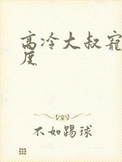 高冷大叔宠妻无度