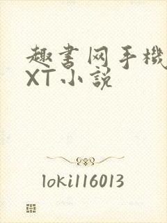 趣书网手机版TXT小说