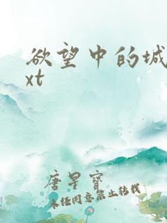 欲望中的城市txt