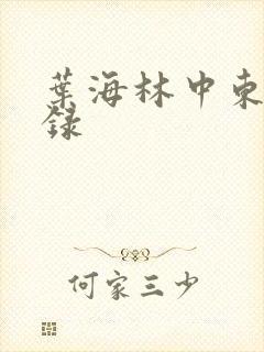 叶海林中东风云录