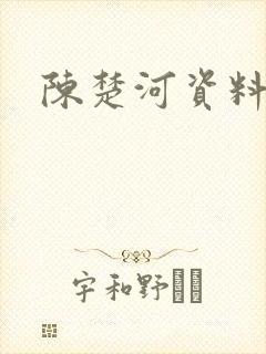 陈楚河资料