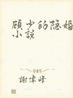 顾少的隐婚罪妻小说