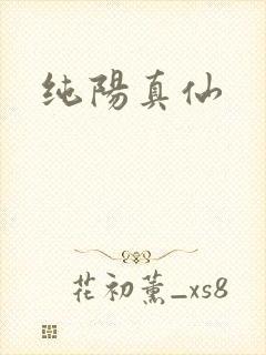 纯阳真仙