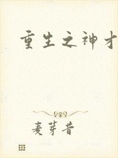 重生之神才风流