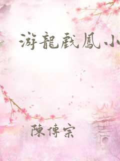 游龙戏凤小说