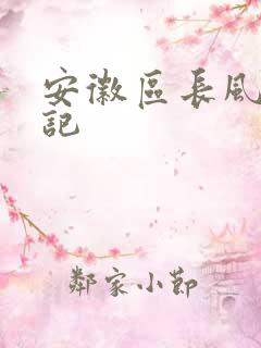 安徽区长风流日记