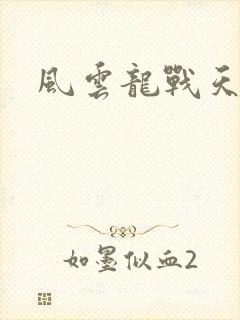 风云龙战天下