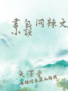 书包网辣文全本小说