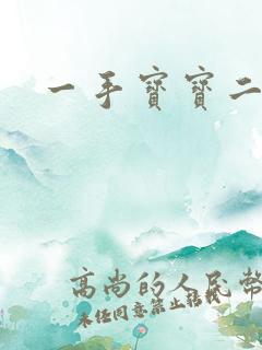 一手宝宝二手妻