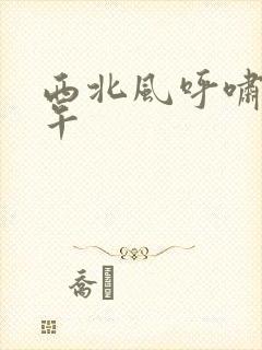 西北风呼啸的中午