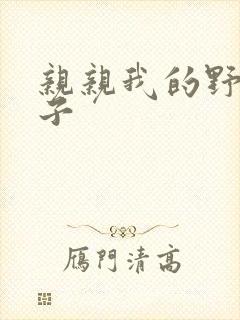 亲亲我的野猪王子