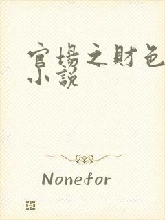 官场之财色诱人小说