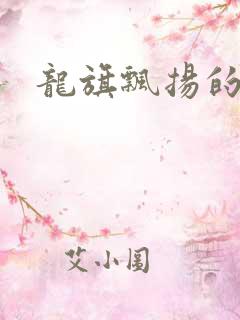 龙旗飘扬的舰队