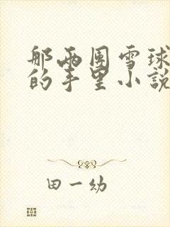 那两团雪球在他的手里小说