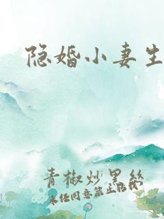 隐婚小妻生个娃