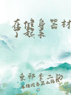 在健身器材上做了起来