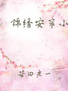 锦绣安宁小说