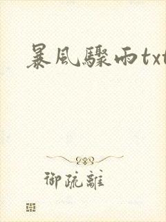 暴风骤雨txt