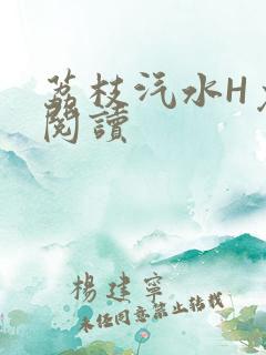 荔枝汽水H免费阅读