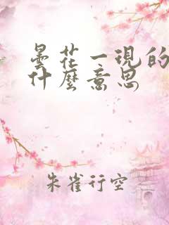 昙花一现的现是什么意思