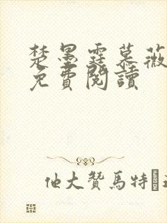 楚墨霆慕薇小说免费阅读