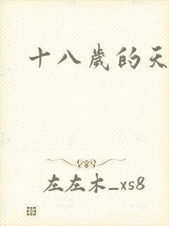 十八岁的天空续