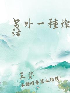 另外一种灿烂生活