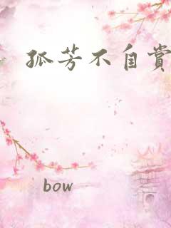 孤芳不自赏小说