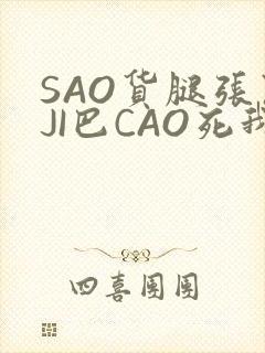 SAO货腿张开JI巴CAO死我