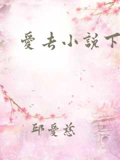 爱去小说下载网