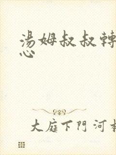 汤姆叔叔转入中心