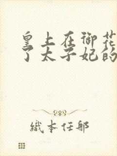 皇上在御花园c了太子妃的网剧