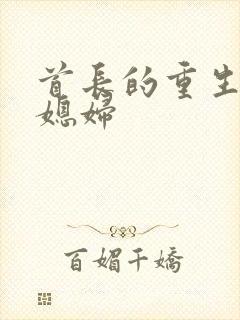 首长的重生宝贝媳妇