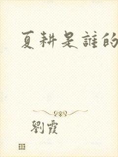 夏耕是谁的女婿