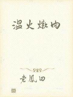 温火炖肉