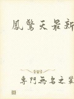 凤惊天最新章节