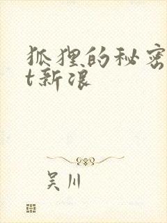 狐狸的秘密txt新浪