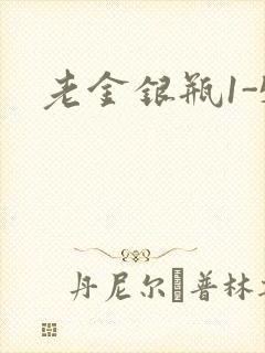 老金银瓶1-5