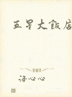 五星大饭店小说