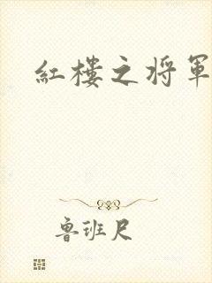 红楼之将军
