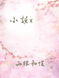 小说x
